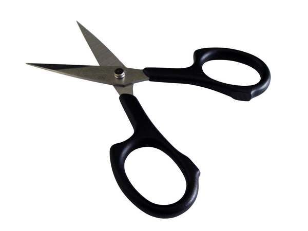 Buy Scissor Not Pointed online