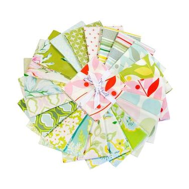 Nicey Jane by Heather Bailey - 5 inch Charm Pack