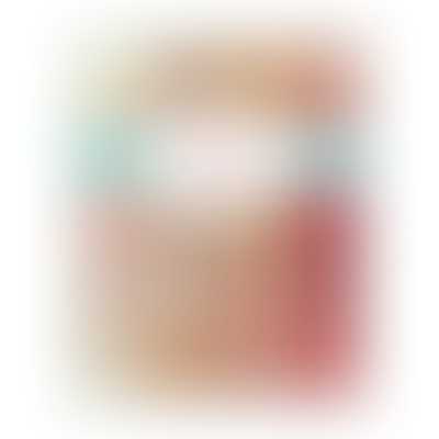 Moda Fabric Joie de Vivre by French General - Layer Cake