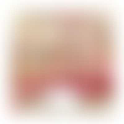 Moda Fabric Joie de Vivre by French General - Layer Cake