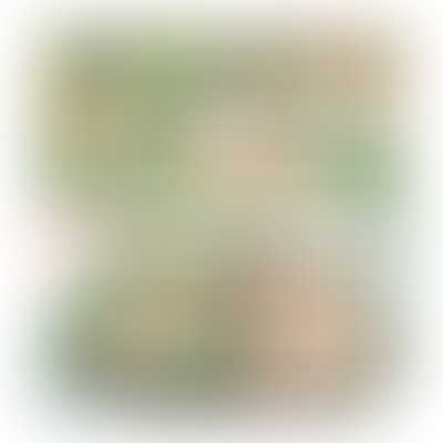 Tilda Fabric - Wallflower Fat Quarter x 5 Greens
