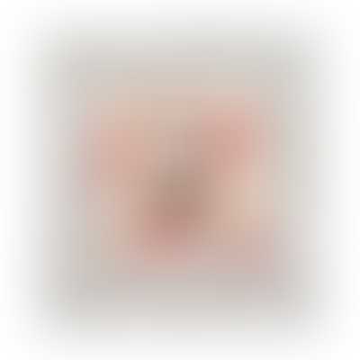 Moda Fabric Joie de Vivre by French General - Layer Cake