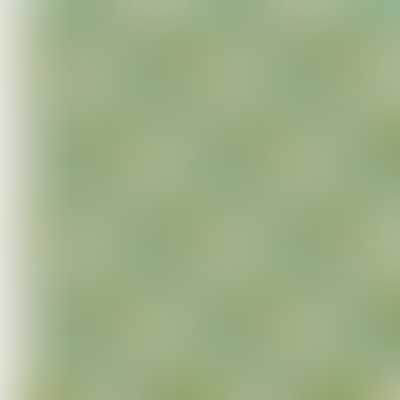 Tilda Fabric - Wallflower Fat Quarter x 5 Greens