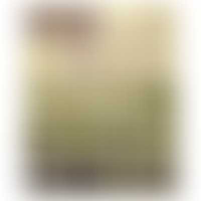 Moda Fabric Collections for a Cause: Essence by Howard Marcus - Layer Cake