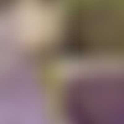 Moda Fabric Collections for a Cause: Essence by Howard Marcus - Layer Cake