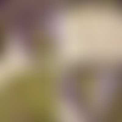 Moda Fabric Collections for a Cause: Essence by Howard Marcus - Layer Cake