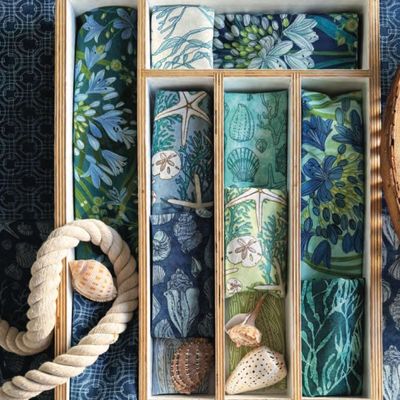 Moda Serena Shores by Robin Pickens - Jelly Roll