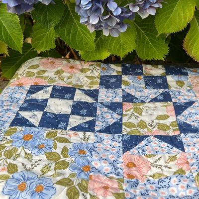 Moda Fabric Wildbriar by Sweetfire Road - Charm Pack