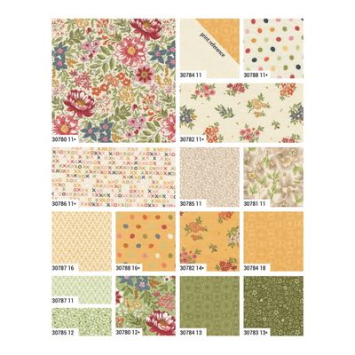 Moda Fieldrush by Basic Grey - Jelly Roll