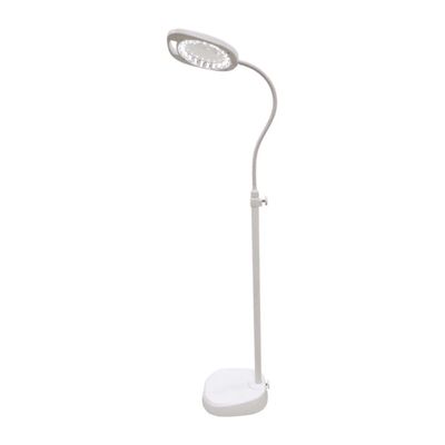 Triumph Arch LED Magnifier Lamp - 2-in-1 Floor & Desk Light with Tray