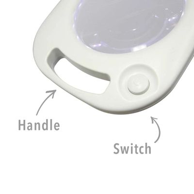 Triumph Arch LED Magnifier Lamp - 2-in-1 Floor & Desk Light with Tray