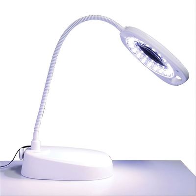 Triumph Arch LED Magnifier Lamp - 2-in-1 Floor & Desk Light with Tray