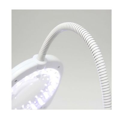 Triumph Arch LED Magnifier Lamp - 2-in-1 Floor & Desk Light with Tray