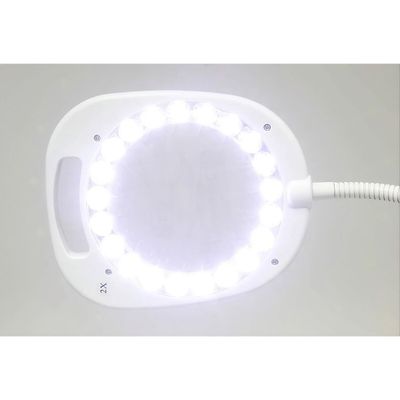 Triumph Arch LED Magnifier Lamp - 2-in-1 Floor & Desk Light with Tray